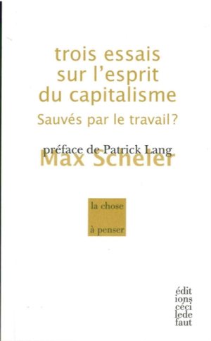 scheler_trois_essais.jpg