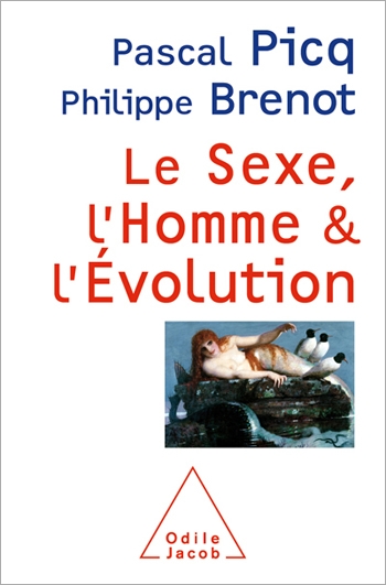 picq_sexe_evolution.jpg